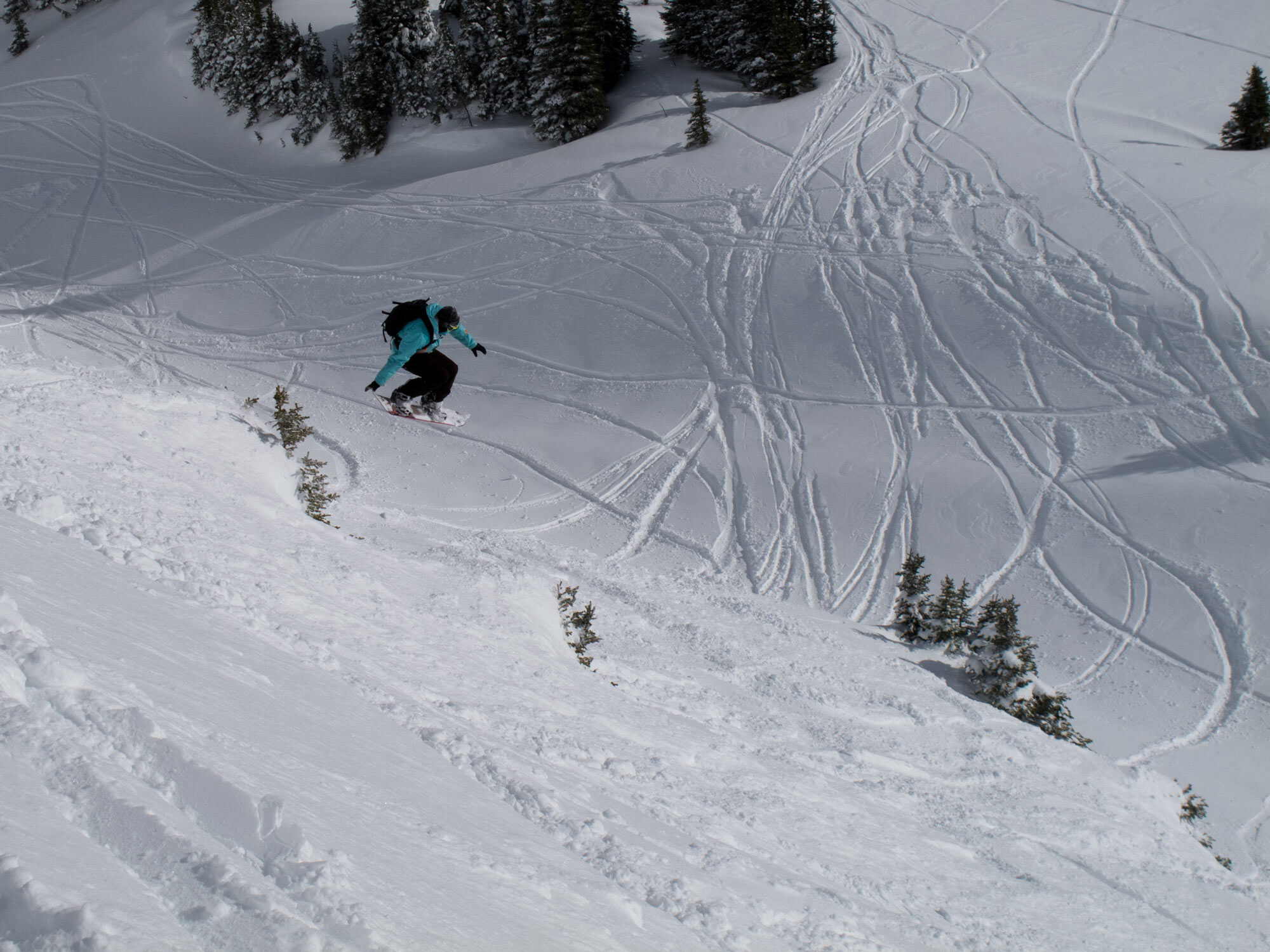 Brian launchin in the garbage chutes.