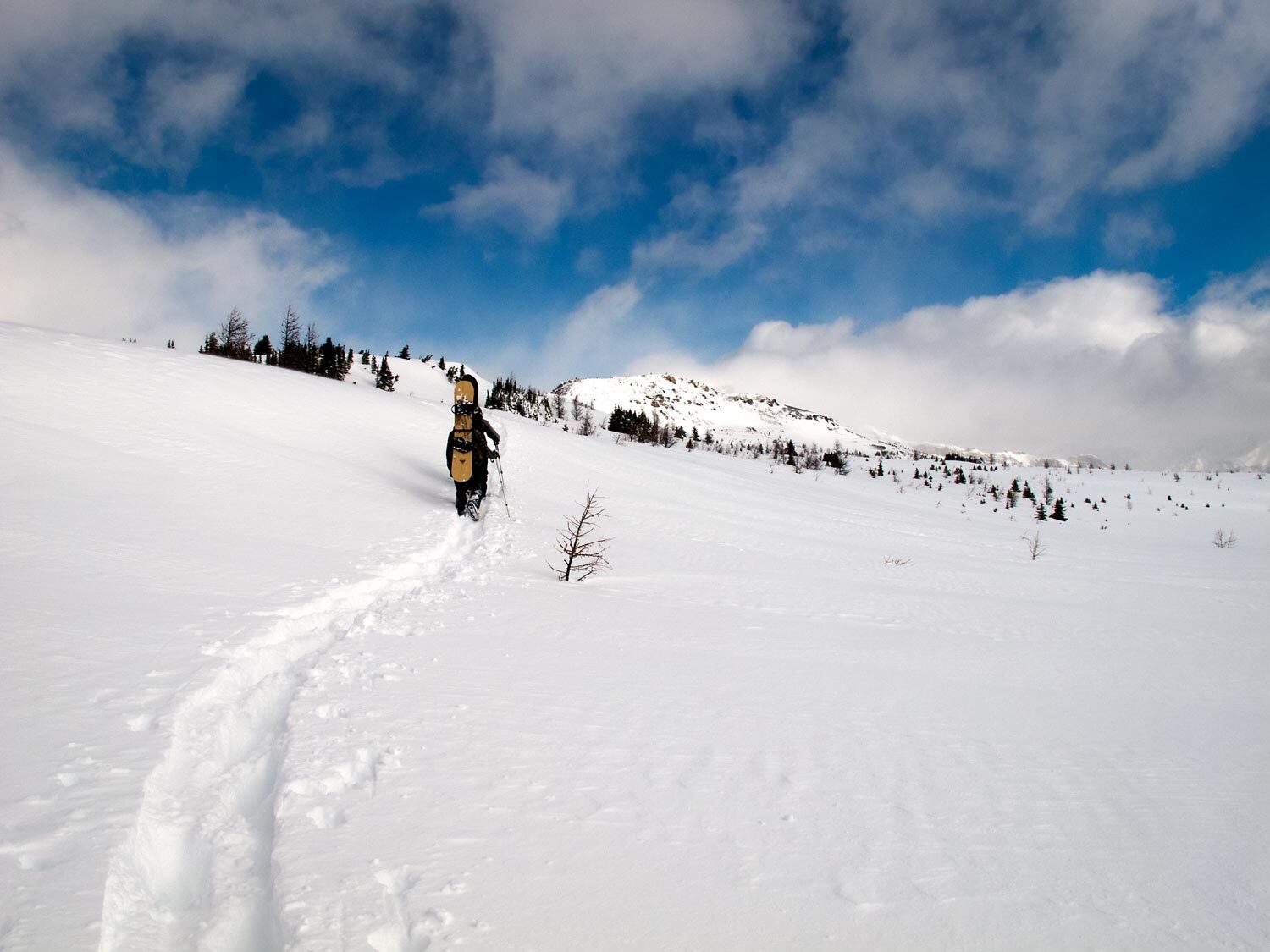 Before everyone had splitboards, we hiked.