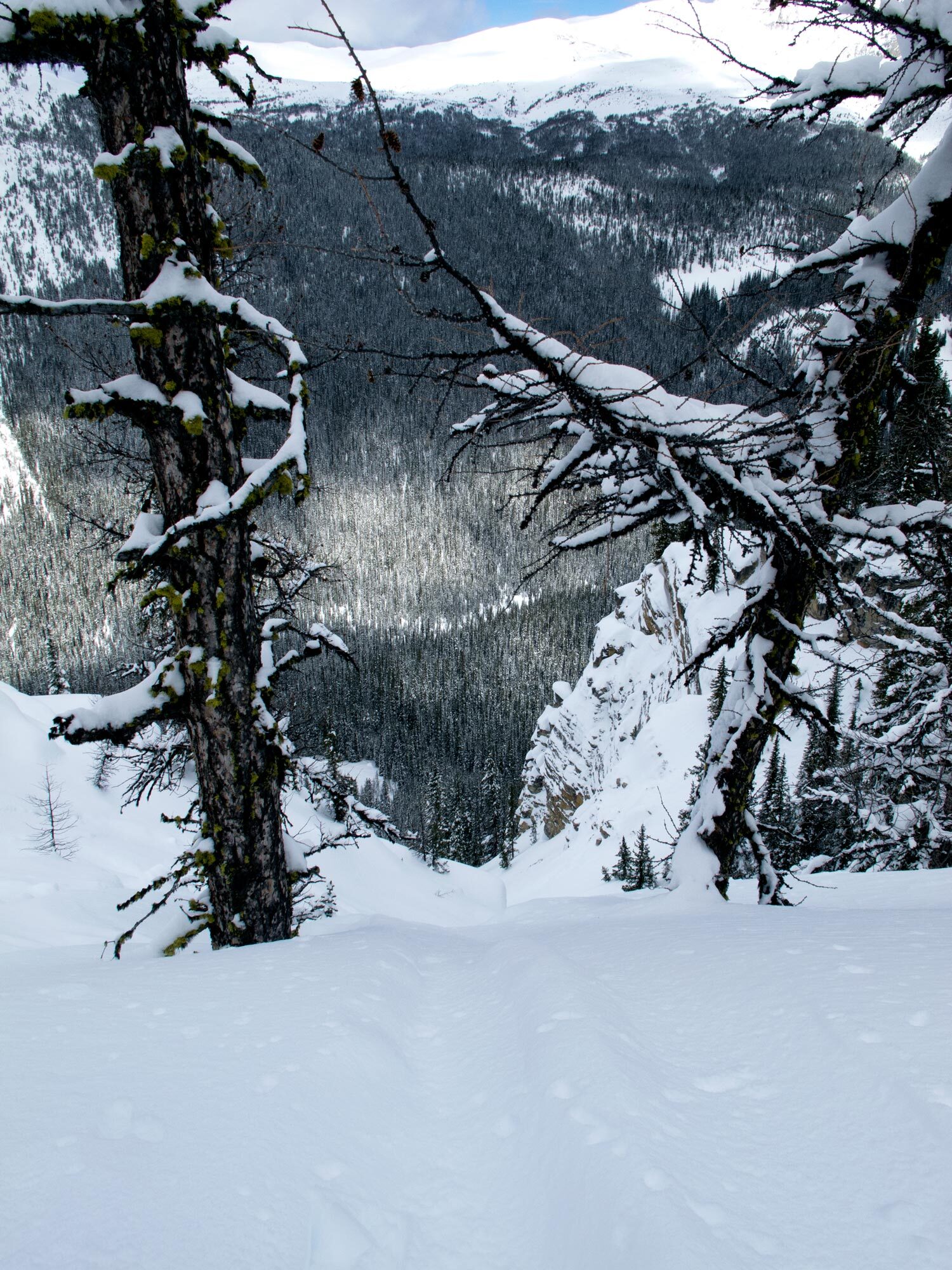 Nice steep chute off the backside of Wawa Ridge.